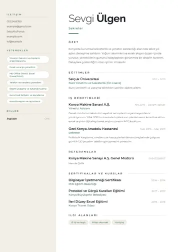  cv indir
